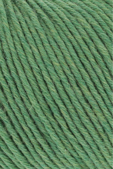 Lang Yarns Merino 120 | 34.0317 | Green mélange