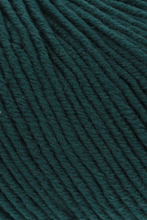 Lang Yarns Merino 120 | 34.0217 | Fir