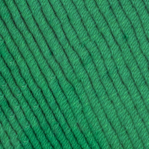 Yarn and Colors Fabulous 087 Amazon