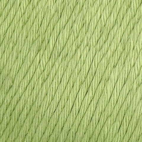 Yarn and Colors Epic 123 Fern