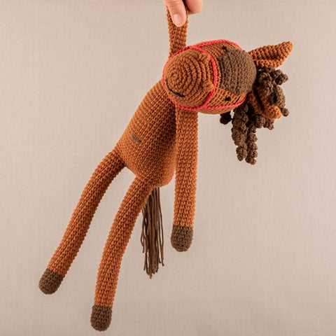 Haakpakket | Yarn and Colors | Hank Horse