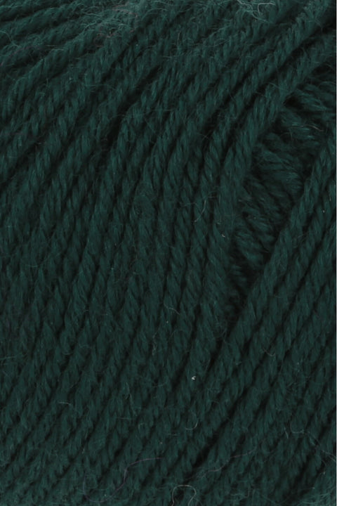 Lang Yarns Atlantis | 72.0017 | Fir