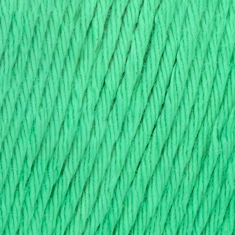 Yarn and Colors Epic 086 Peony Leaf